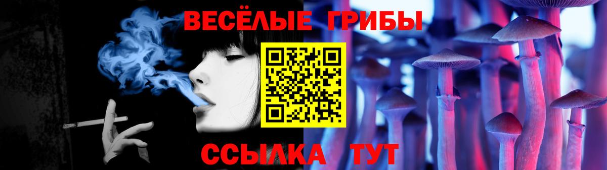 Галлюциногенные грибы мицелий Артём
