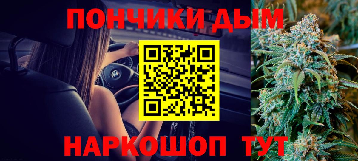 Марихуана SATIVA & INDICA  Марихуана сатива  Артём  Марихуана сатива  Вход с VPN 